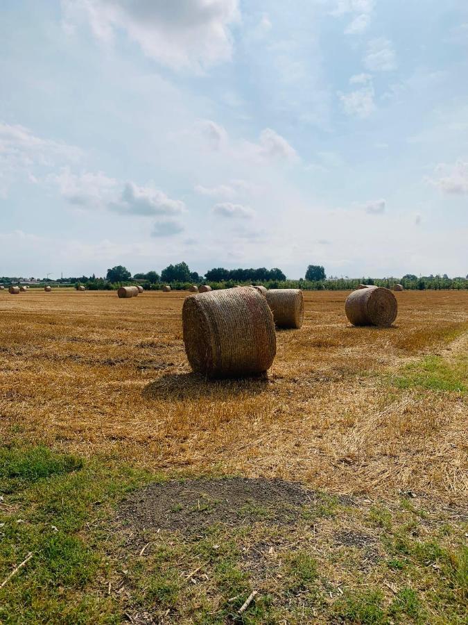 Appartamento Tra Verde E Citta Bolonha Exterior foto